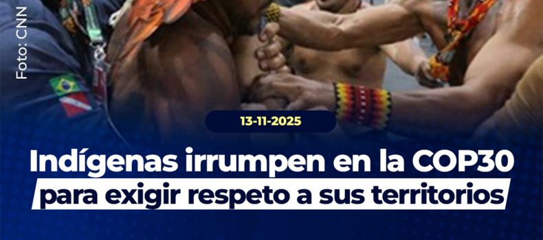 «Nuestra tierra no está en venta»: manifestantes indígenas se enfrentan a la seguridad de la COP30