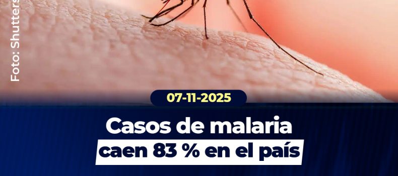 Ecuador reduce 83 % los casos de malaria en tres años