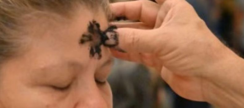 ¿Qué representa el Miércoles de Ceniza para los católicos?