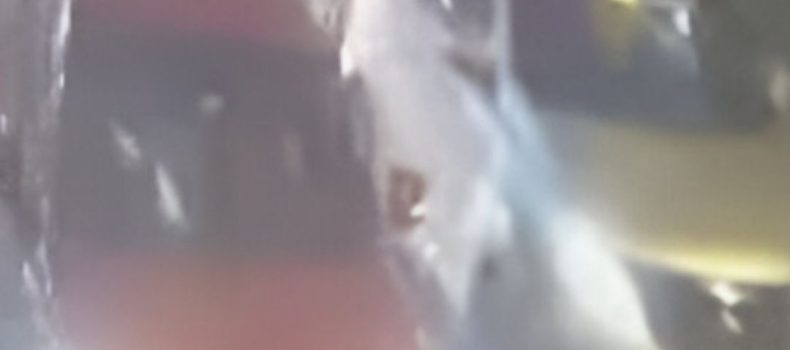 Terror en el Valle de Los Chillos por secuestro captado en video