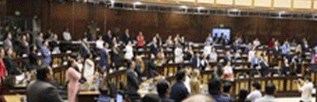 La Asamblea cumplió un año de actividad