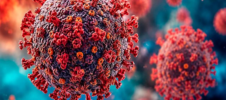Un crucero y un virus mortal: el hantavirus revive recuerdos traumáticos en Argentina