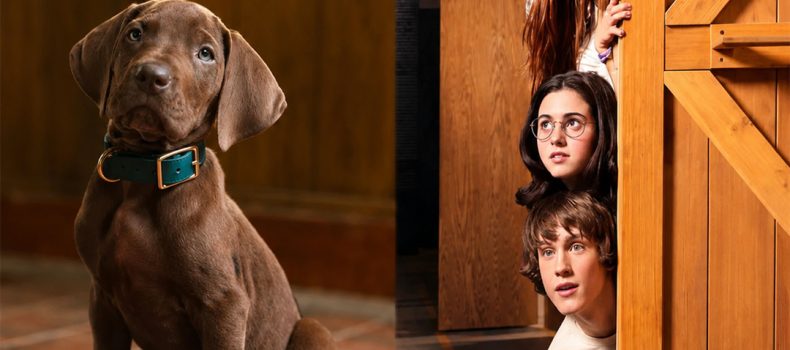 NETFLIX PRESENTA AVANCE DE SCOOBY DOO EL ORIGEN