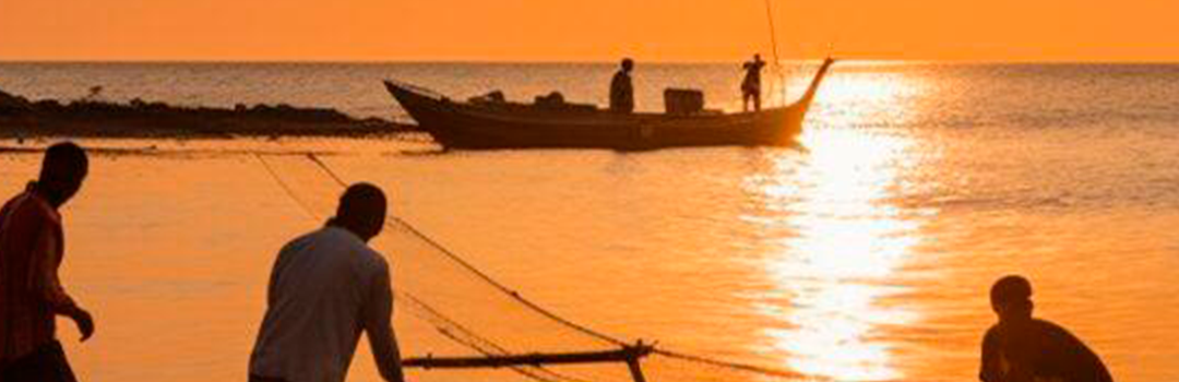 Pescadores artesanales tendrán compensación económica por daños causados por la jaiba mora