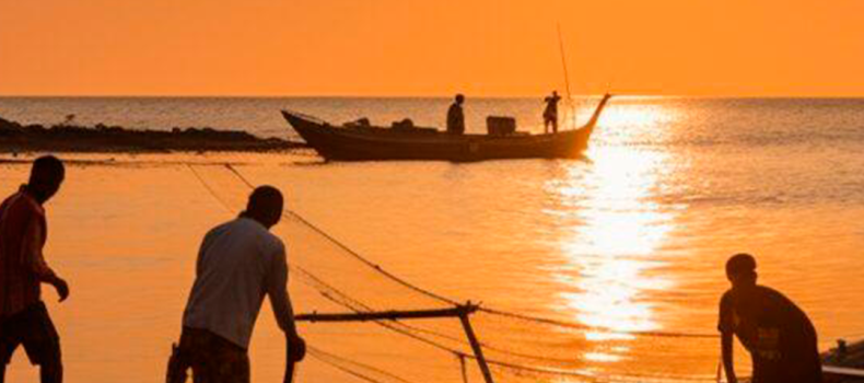Pescadores artesanales tendrán compensación económica por daños causados por la jaiba mora