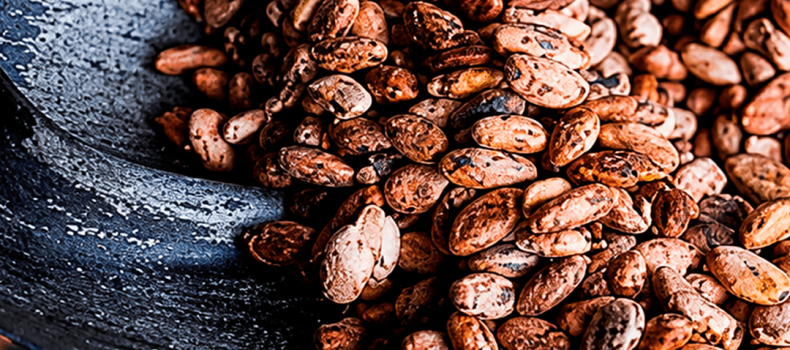 El cacao se desploma: Ecuador exportó 59 % menos en divisas en los primeros cuatro meses de 2026