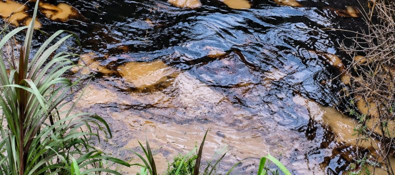 SUSPENDEN CAPTACIÓN DE AGUA POTABLE EN ESMERALDAS TRAS DERRAME DE HIDROCARBURO EN EL RÍO CUPA EN QUININDÉ